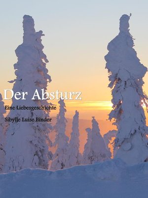 cover image of Der Absturz